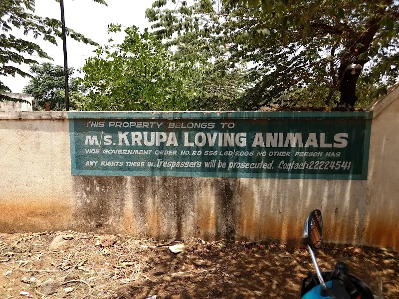 Krupa Loving Animal photo
