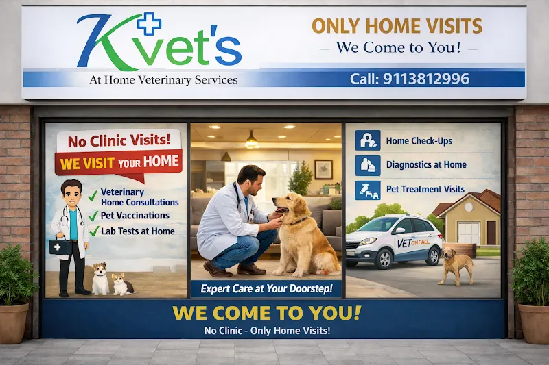 Kvets – At Home Veterinary Services | Veterinary Doctor | Doorstep veterinary | Vets | On Call photo