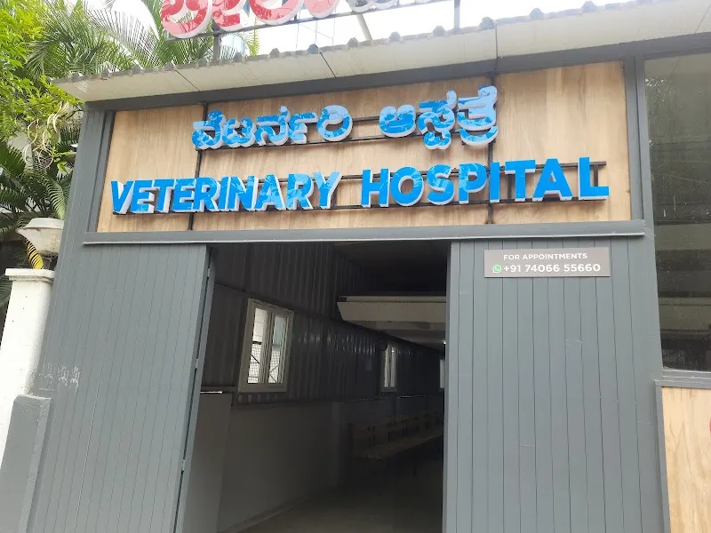 LeelaVet Multispeciality Veterinary Hospital photo