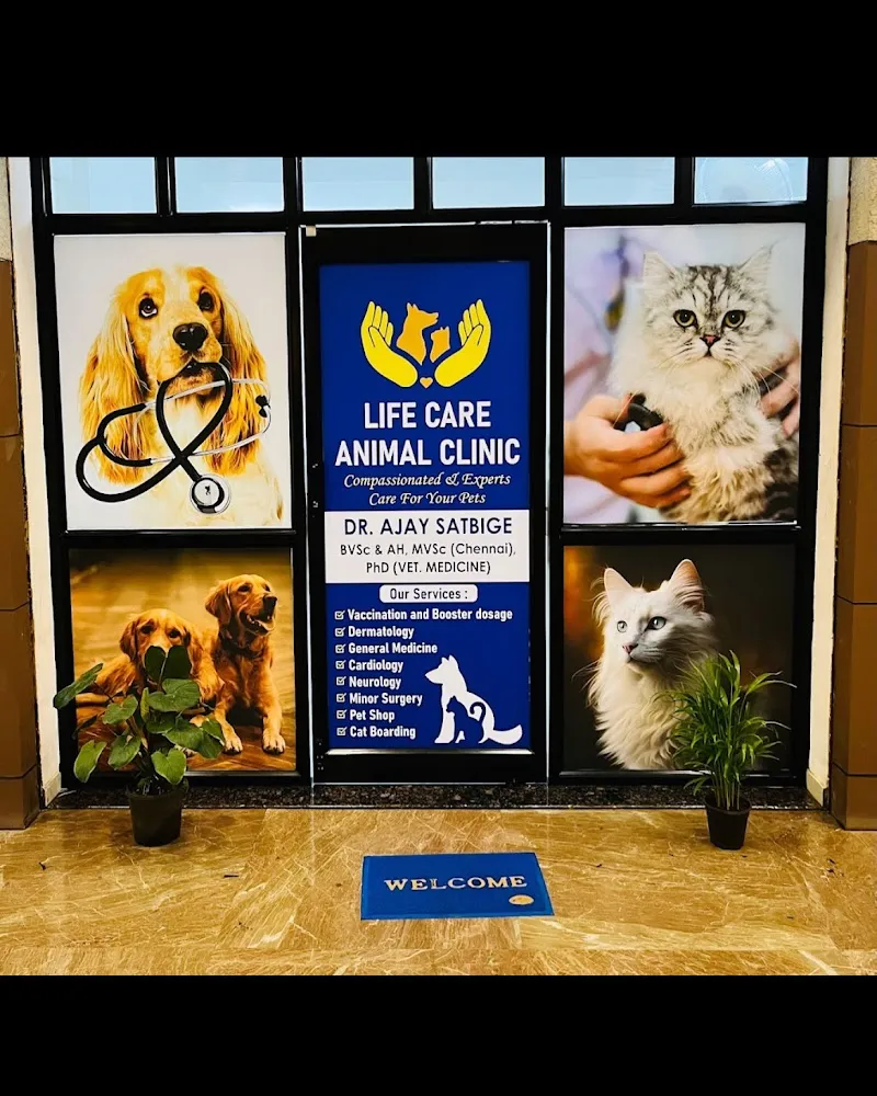 Life Care Animal Clinic, Compassionate and Experts Care For Your Pets photo