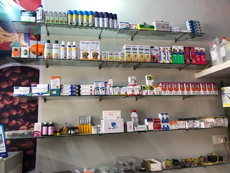 LIFE LINE DOG CLINIC & PET CARE photo