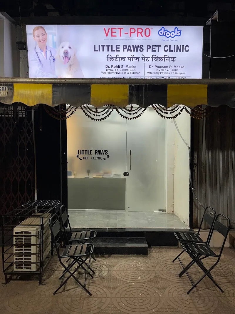 Little Paws Pet Clinic photo