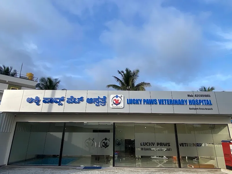 Lucky Paws Veterinary Hospital, Budigere Cross Branch photo