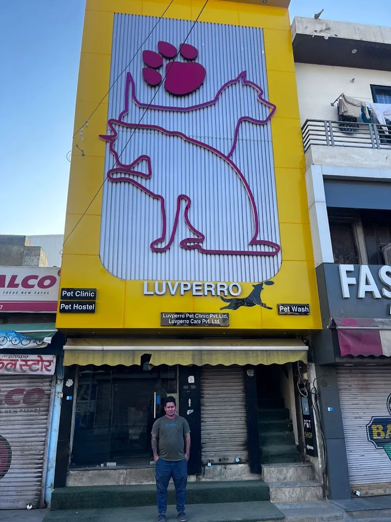 Luvperro Sodala photo