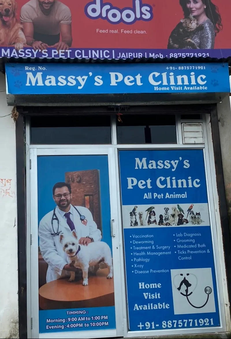 Massy’s Pet Clinic photo