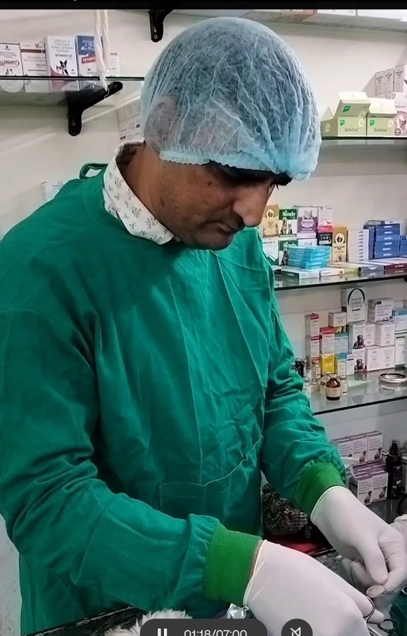 MAX PET CLINIC – PET CLINIC IN DELHI photo