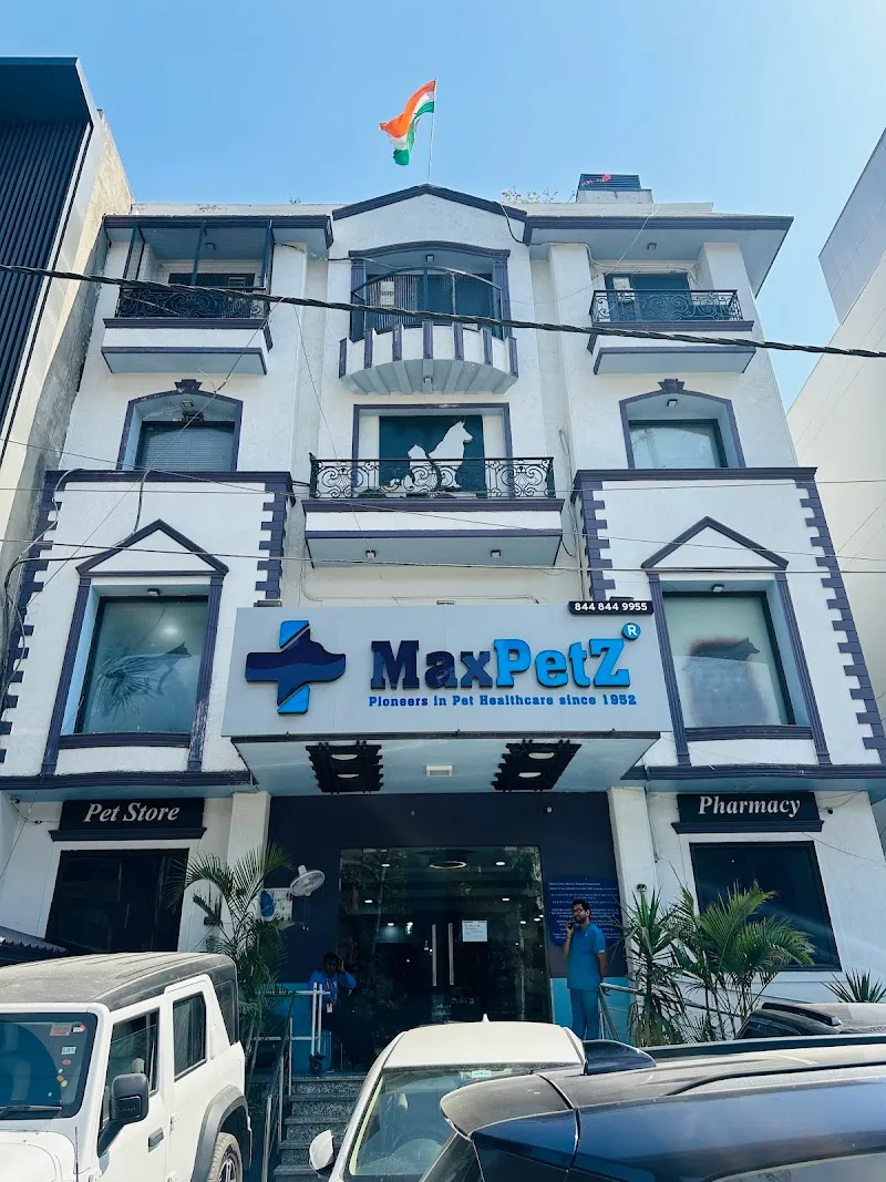 MaxPetZ East of Kailash photo