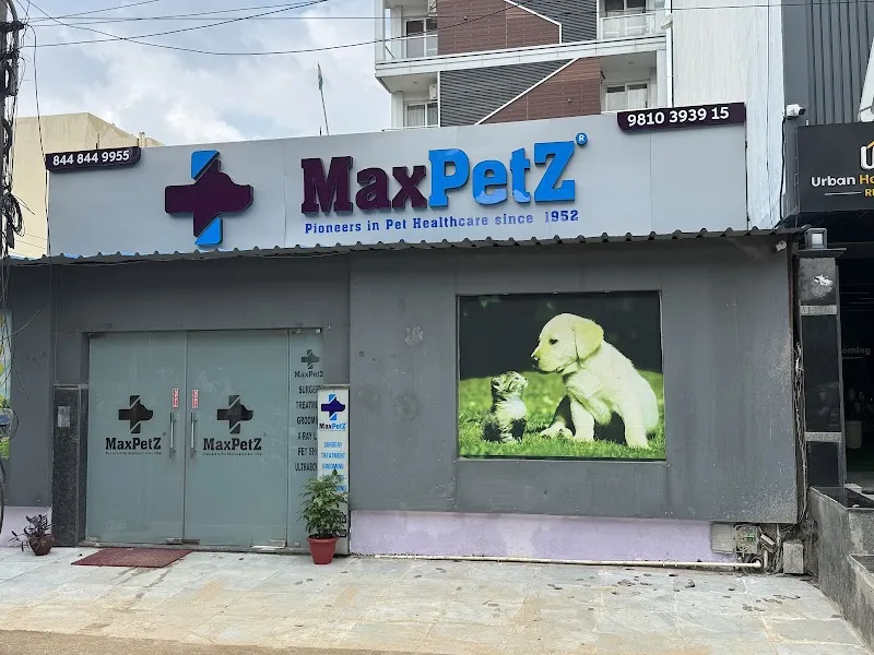 MaxPetZ Gurugram (Sushant Lok 2) photo
