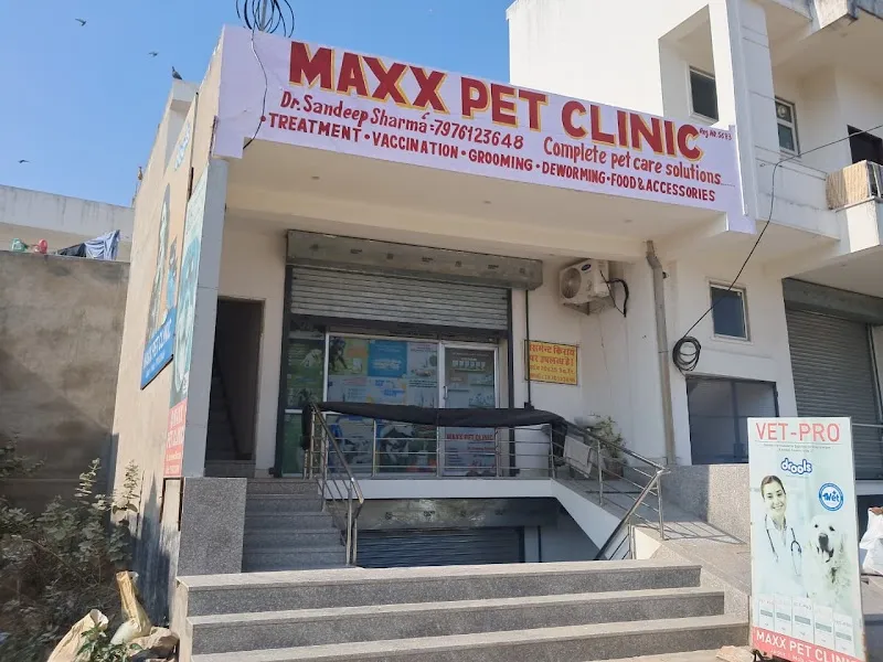 Maxx Pet Clinic photo