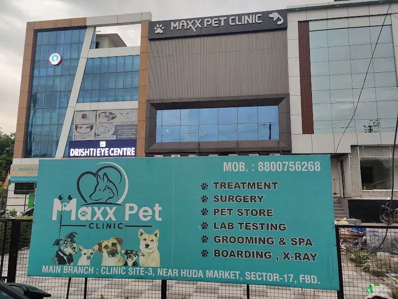 Maxx Pet Clinic photo