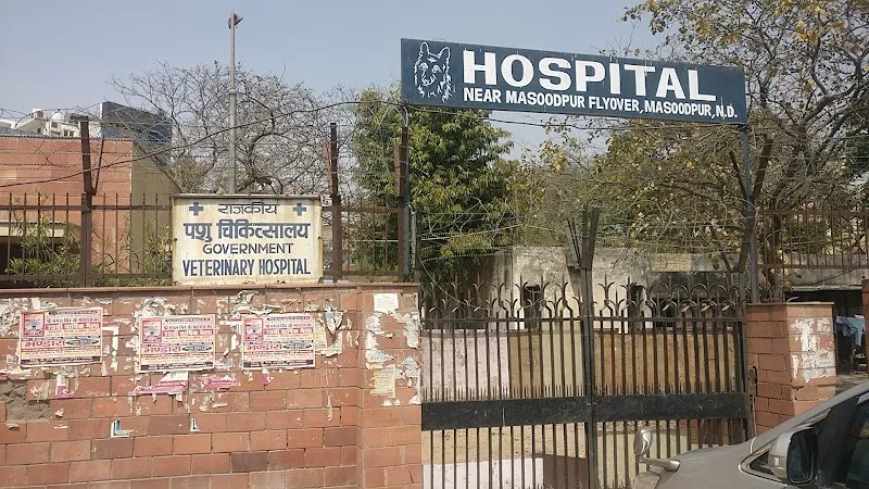 MCD Veterinary Clinic (animal hospital) photo