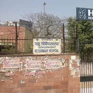 MCD Veterinary Clinic (animal hospital) photo