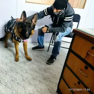 Metro Vetline Intergrated Pet Clinic photo