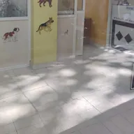 Metrovet Diagnostic Center photo