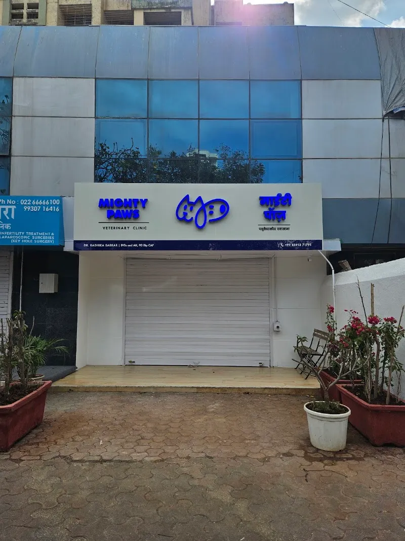 Mighty Paws Veterinary Clinic photo