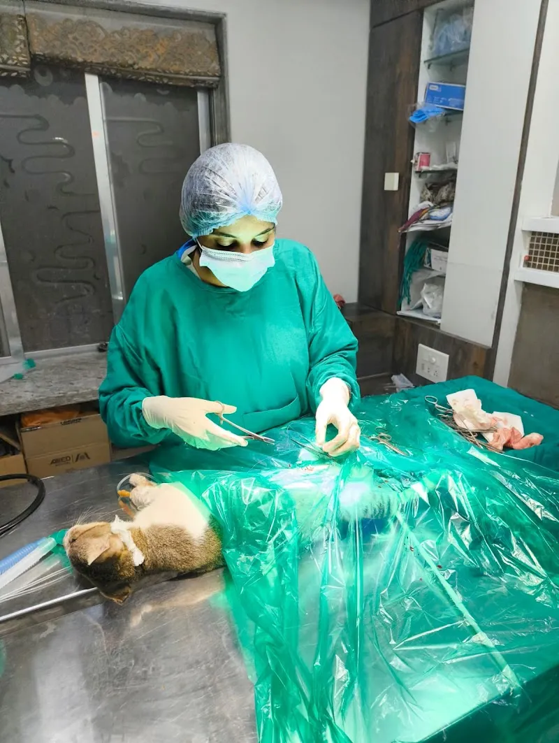 MINISTRY OF PETS ANIMAL CLINIC AND SURGERY CENTER photo