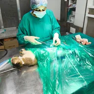MINISTRY OF PETS ANIMAL CLINIC AND SURGERY CENTER photo