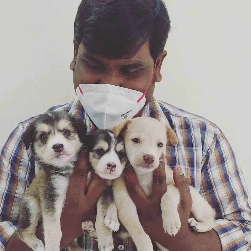 Mon Ami Pet Clinic photo