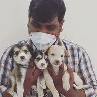 Mon Ami Pet Clinic photo