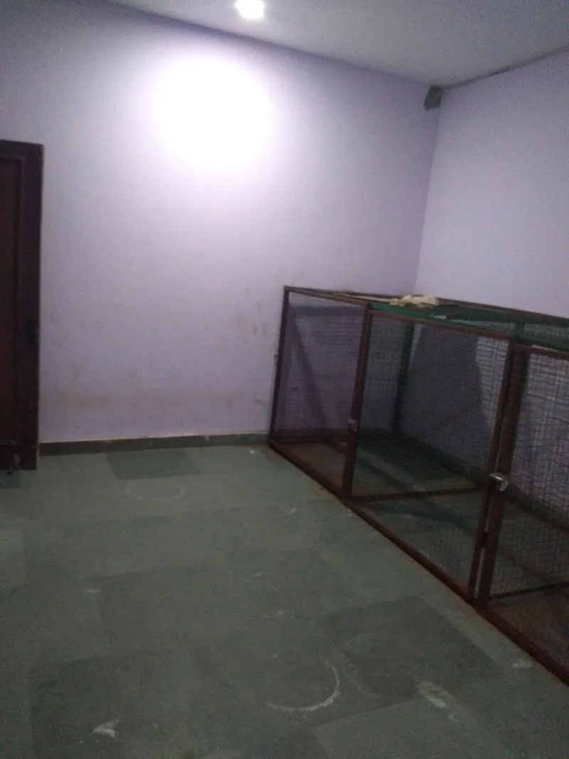 Mutt Polish Pet Clinic & Boarding House photo