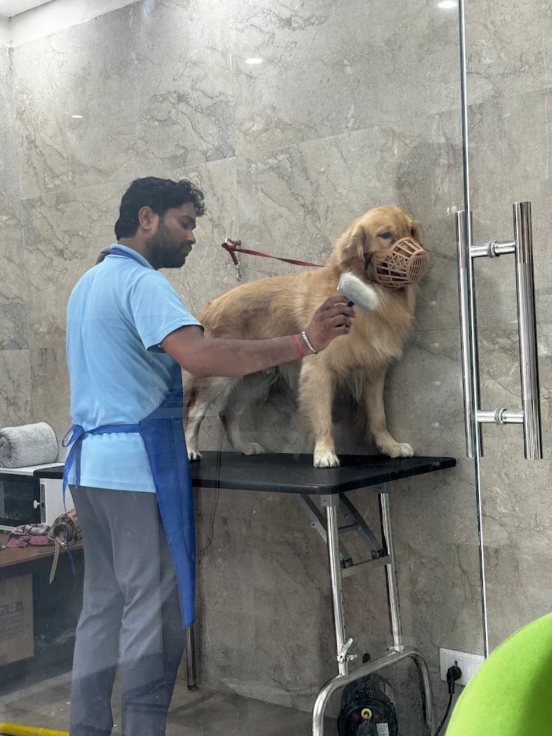 My Honest Paw – Vet & Pet Clinic photo