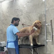 My Honest Paw – Vet & Pet Clinic photo