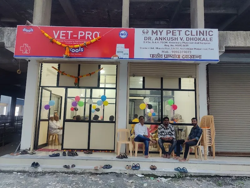 My Pet clinic,Manjari. photo