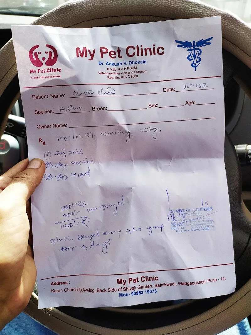 MY PET CLINIC photo