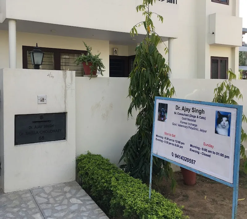 My Pet Dog Clinic – Dr. Ajay Singh photo