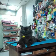 My Pet’s World pets clinic photo