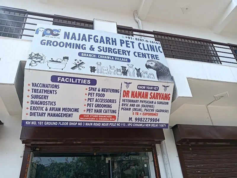 Najafgarh pet clinic now in Chhawla Village photo