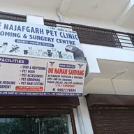 Najafgarh pet clinic now in Chhawla Village photo