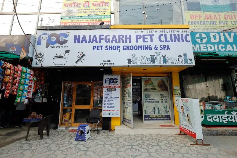 Najafgarh Pet Clinic photo