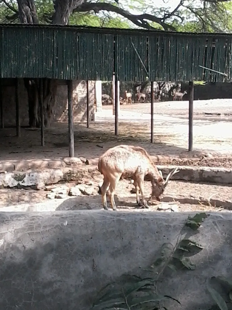 National Zoological Park Veterinary Hospital photo