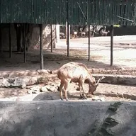 National Zoological Park Veterinary Hospital photo
