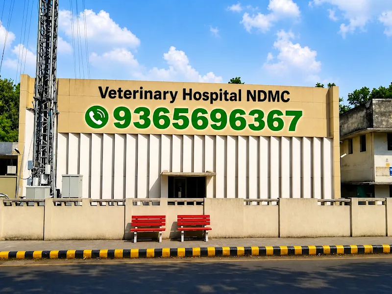NDMC Veterinary Hospital (Kidwai Nagar / Netaji Nagar) photo