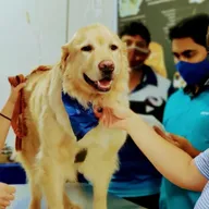 Neha Speciality Veterinary Hospital photo