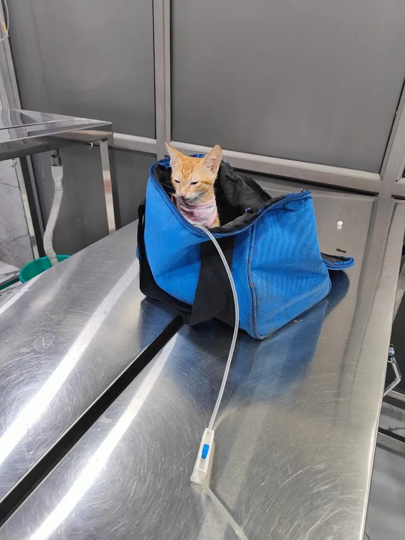 New Life Pet Care Center photo