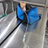 New Life Pet Care Center photo