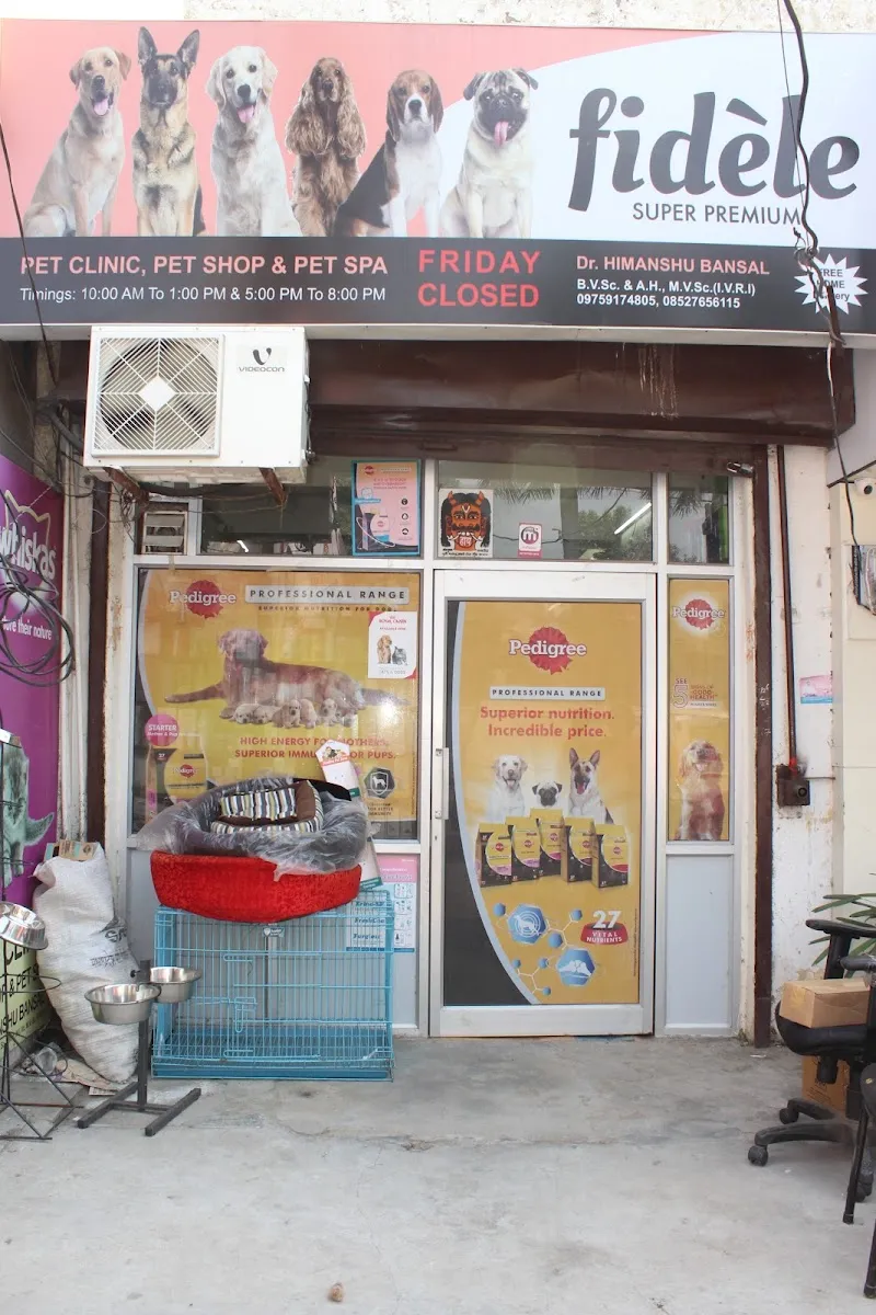 New Life Pet Clinic and Pet Shop photo