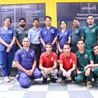 nextdoorVets Veterinary Hospital – Kasavanahalli photo