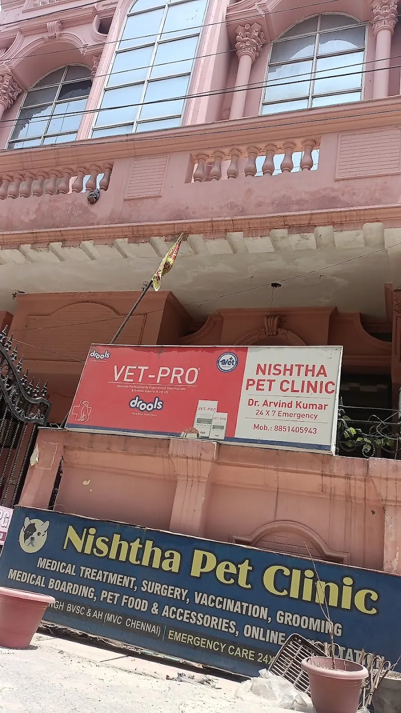 Nishtha Pet Clinic photo