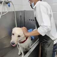 Niti Bagh Pet Clinic- GURGAON photo
