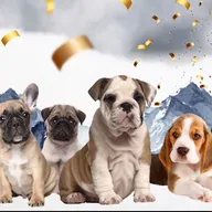 Oasis Pet Care photo