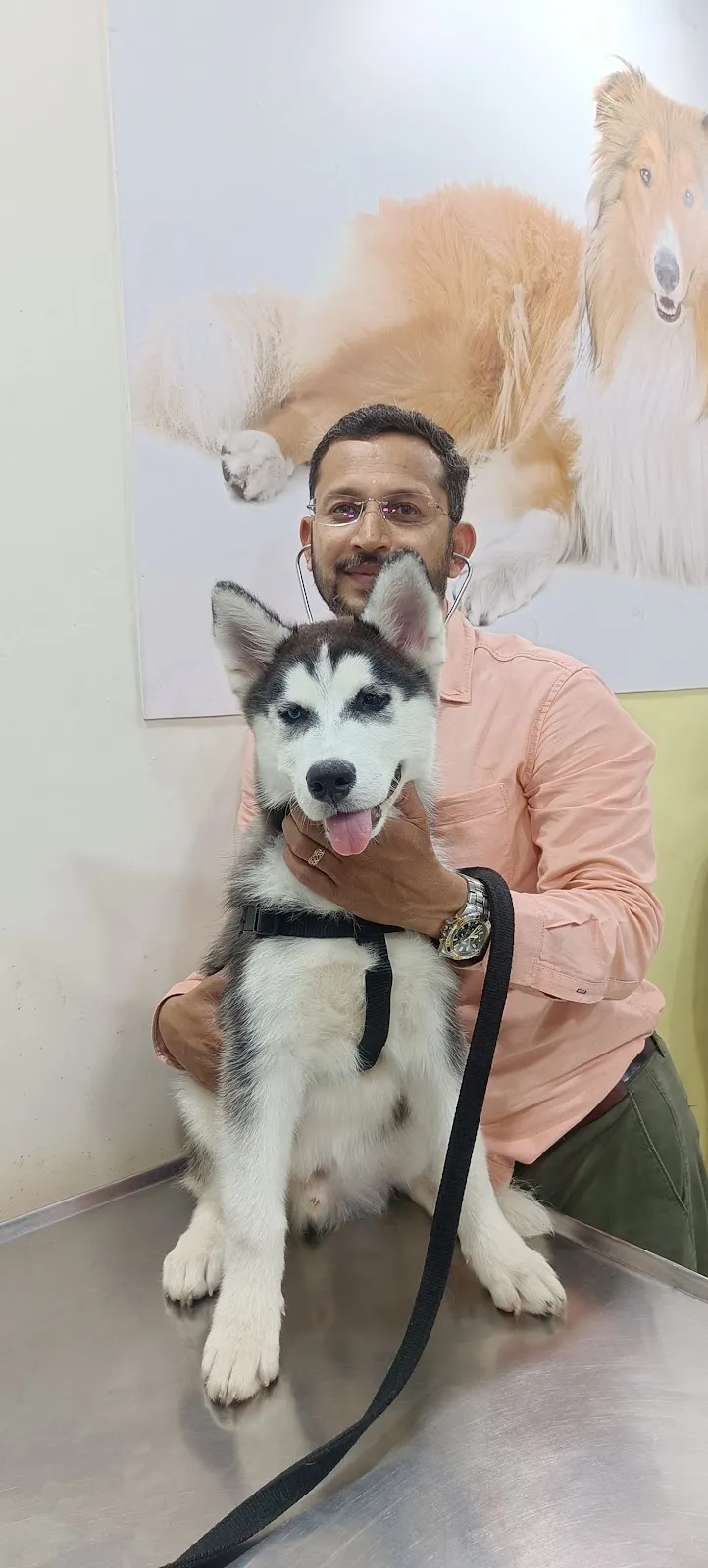 Om Sai Pets Care Clinic photo