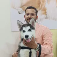 Om Sai Pets Care Clinic photo