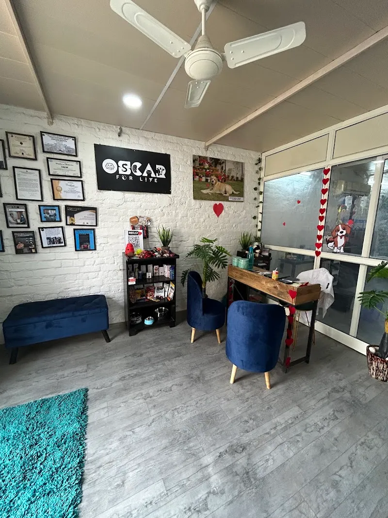 Oscar For Life Pet Clinic, Boarding & Grooming photo