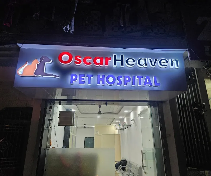 OSCAR HEAVEN PET HOSPITAL photo