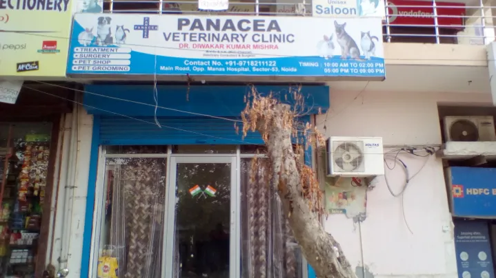 Panacea Veterinary Clinic photo