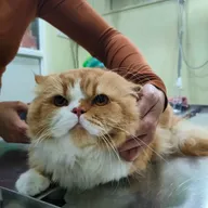 Paw Prints Veterinary Clinic photo